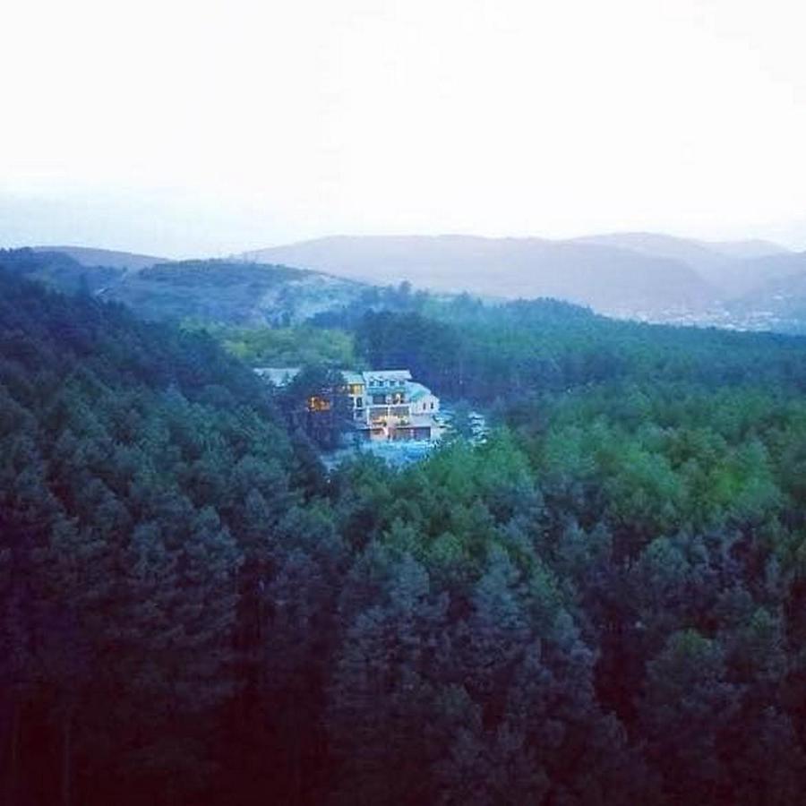 Hotel Surami 외부 사진