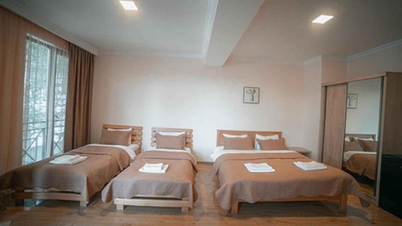 Hotel Surami 외부 사진