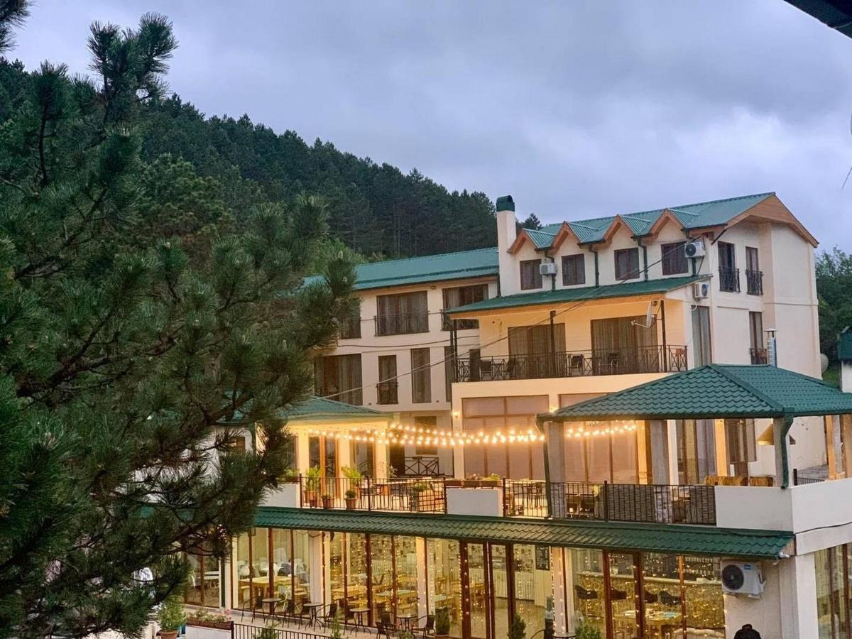 Hotel Surami 외부 사진